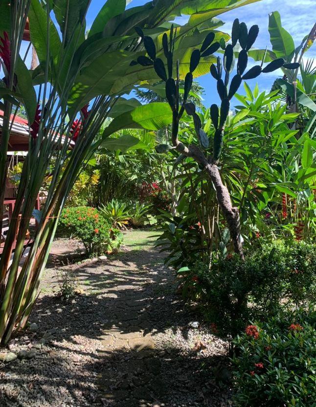 Casa Mambo Bed and Breakfast Cahuita Exteriör bild