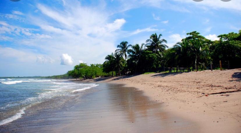Casa Mambo Bed and Breakfast Cahuita Exteriör bild